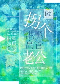 (综同人)拐个港黑高管老公