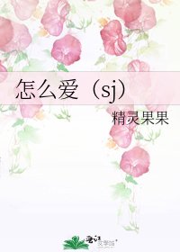 怎么爱(sj)